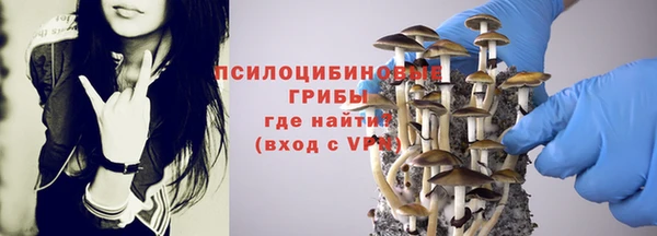 мескалин Березники