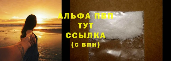 прущие грибы Артём