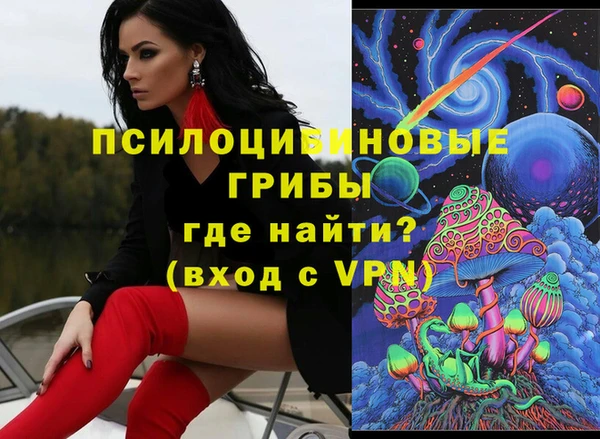 дживик Долгопрудный