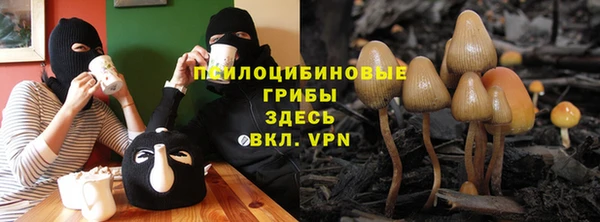 мескалин Березники