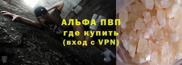 прущие грибы Артём