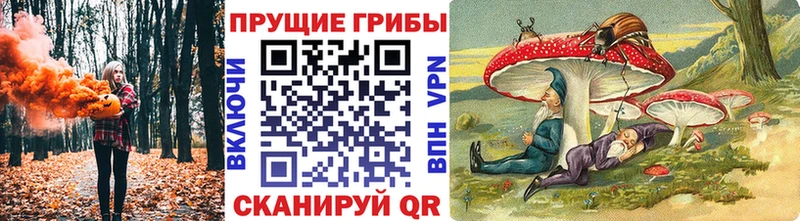 блэк спрут ССЫЛКА  Гаврилов Посад  Псилоцибиновые грибы мухоморы 