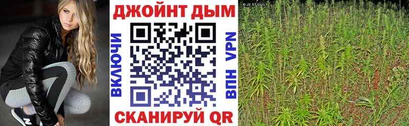 Канабис план  где продают   Гаврилов Посад 