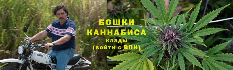 сайты даркнета как зайти  Гаврилов Посад  Марихуана THC 21%  мега ТОР 